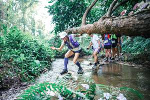 BIB: 
                            <button type="button" onclick="openModal(25455239)" class="btn btn-primary btn-sm float-right btn-popup" data-toggle="modal" data-target=".modal-high-quality">
                        <i class="fas fa-shopping-cart"></i> Add to Cart
                    </button>
                                            <button type="button" onclick="isThisMe(25455239, true)" class="btn btn-success btn-sm float-right btn-popup btn-isme hidden" data-toggle="tooltip" data-placement="bottom" title="นี่คือรูปของคุณใช่ไหม คลิกที่นี่เพื่อเอาเข้าอัลบั้ม">
                        <i class="fas fa-plus"></i> Add to album
                    </button>
                    <button type="button" onclick="isThisMe(25455239, false)" class="btn btn-warning btn-sm float-right btn-popup btn-isnotme hidden">
                        <i class="fas fa-ban"></i> Remove from album
                    </button>